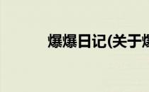 爆爆日记(关于爆爆日记的简介)