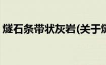 燧石条带状灰岩(关于燧石条带状灰岩的简介)
