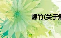 爆竹(关于爆竹的简介)