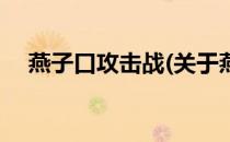 燕子口攻击战(关于燕子口攻击战的简介)