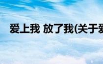 爱上我 放了我(关于爱上我 放了我的简介)
