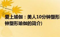 爱上瑜伽：美人10分钟塑形瑜伽(关于爱上瑜伽：美人10分钟塑形瑜伽的简介)