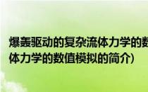 爆轰驱动的复杂流体力学的数值模拟(关于爆轰驱动的复杂流体力学的数值模拟的简介)