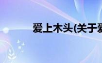 爱上木头(关于爱上木头的简介)