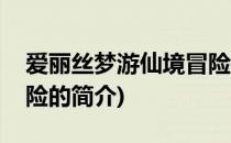 爱丽丝梦游仙境冒险(关于爱丽丝梦游仙境冒险的简介)