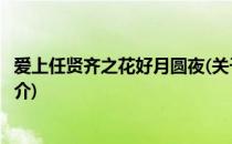 爱上任贤齐之花好月圆夜(关于爱上任贤齐之花好月圆夜的简介)