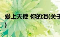 爱上天使 你的泪(关于爱上天使 你的泪的简介)