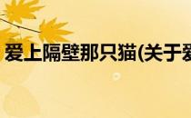 爱上隔壁那只猫(关于爱上隔壁那只猫的简介)