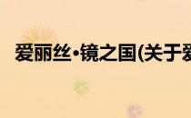 爱丽丝·镜之国(关于爱丽丝·镜之国的简介)