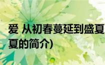 爱 从初春蔓延到盛夏(关于爱 从初春蔓延到盛夏的简介)