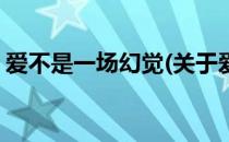 爱不是一场幻觉(关于爱不是一场幻觉的简介)