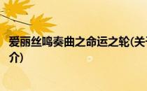 爱丽丝鸣奏曲之命运之轮(关于爱丽丝鸣奏曲之命运之轮的简介)