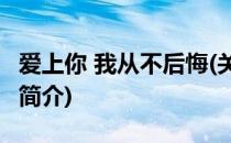 爱上你 我从不后悔(关于爱上你 我从不后悔的简介)