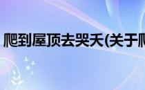 爬到屋顶去哭夭(关于爬到屋顶去哭夭的简介)