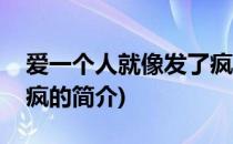 爱一个人就像发了疯(关于爱一个人就像发了疯的简介)