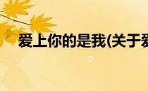 爱上你的是我(关于爱上你的是我的简介)