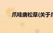 爪哇唐松草(关于爪哇唐松草的简介)