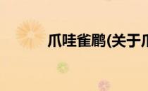 爪哇雀鹛(关于爪哇雀鹛的简介)