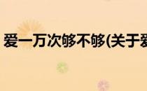 爱一万次够不够(关于爱一万次够不够的简介)