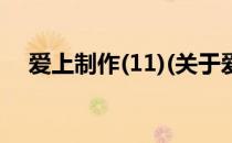 爱上制作(11)(关于爱上制作(11)的简介)