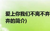爱上你我们不离不弃(关于爱上你我们不离不弃的简介)