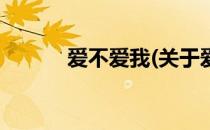 爱不爱我(关于爱不爱我的简介)