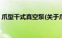 爪型干式真空泵(关于爪型干式真空泵的简介)