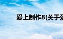 爱上制作8(关于爱上制作8的简介)
