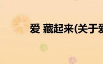 爱 藏起来(关于爱 藏起来的简介)