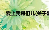 爱上我哥们儿(关于爱上我哥们儿的简介)