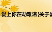 爱上你在劫难逃(关于爱上你在劫难逃的简介)