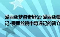 爱丽丝梦游奇境记·爱丽丝镜中奇遇记(关于爱丽丝梦游奇境记·爱丽丝镜中奇遇记的简介)