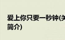 爱上你只要一秒钟(关于爱上你只要一秒钟的简介)