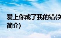 爱上你成了我的错(关于爱上你成了我的错的简介)