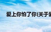 爱上你怕了你(关于爱上你怕了你的简介)