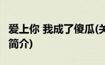 爱上你 我成了傻瓜(关于爱上你 我成了傻瓜的简介)