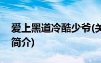 爱上黑道冷酷少爷(关于爱上黑道冷酷少爷的简介)