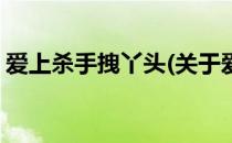 爱上杀手拽丫头(关于爱上杀手拽丫头的简介)