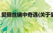爱丽丝镜中奇遇(关于爱丽丝镜中奇遇的简介)
