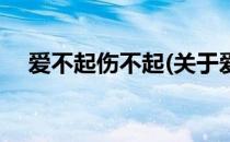 爱不起伤不起(关于爱不起伤不起的简介)