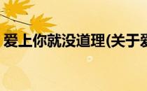爱上你就没道理(关于爱上你就没道理的简介)