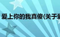 爱上你的我真傻(关于爱上你的我真傻的简介)