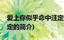 爱上你似乎命中注定(关于爱上你似乎命中注定的简介)