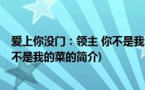 爱上你没门：领主 你不是我的菜(关于爱上你没门：领主 你不是我的菜的简介)