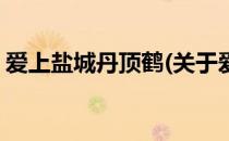 爱上盐城丹顶鹤(关于爱上盐城丹顶鹤的简介)