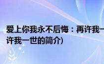 爱上你我永不后悔：再许我一世(关于爱上你我永不后悔：再许我一世的简介)