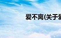 爱不离(关于爱不离的简介)