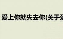 爱上你就失去你(关于爱上你就失去你的简介)