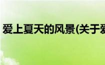 爱上夏天的风景(关于爱上夏天的风景的简介)