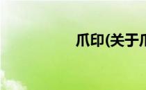 爪印(关于爪印的简介)